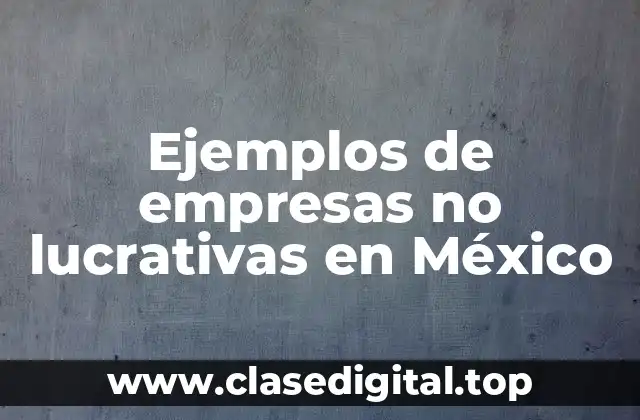 Ejemplos de empresas no lucrativas en México