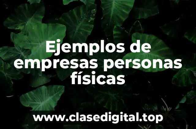 Ejemplos de empresas personas físicas