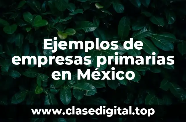 Ejemplos de empresas primarias en México