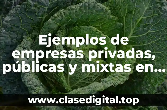 Ejemplos de empresas privadas, públicas y mixtas en Bolivia