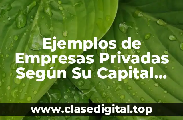 Ejemplos de Empresas Privadas Según Su Capital Mapa Mental