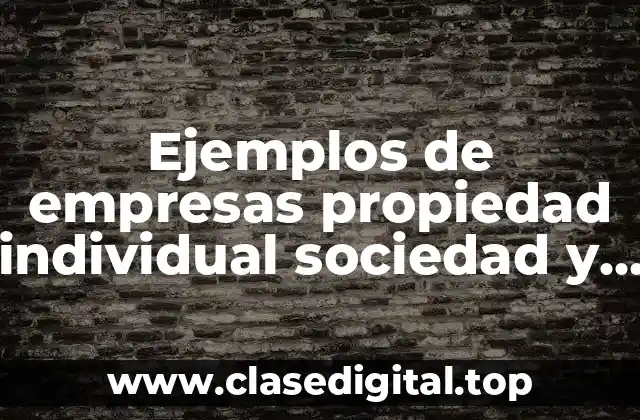 Ejemplos de empresas propiedad individual sociedad y corporación