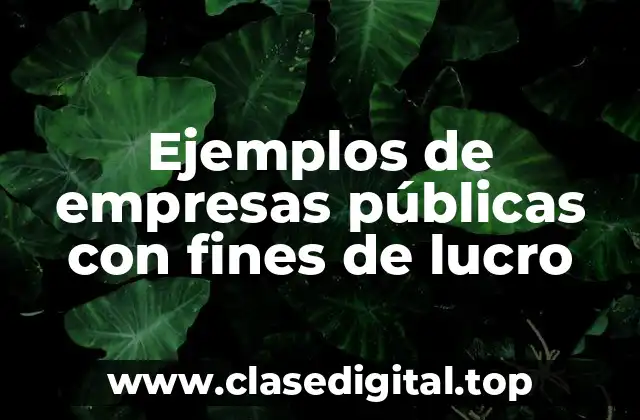 Ejemplos de empresas públicas con fines de lucro