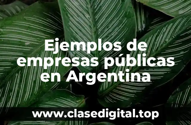 Ejemplos de empresas públicas en Argentina