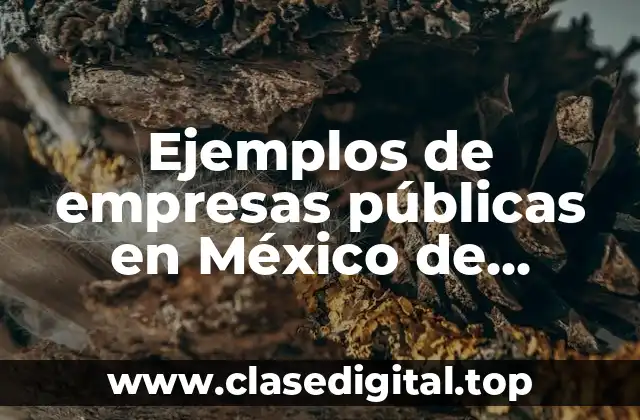 Ejemplos de empresas públicas en México de transporte