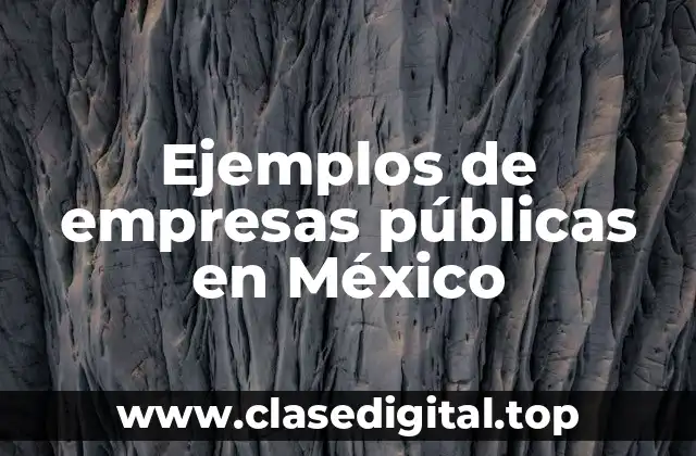 Ejemplos de empresas públicas en México