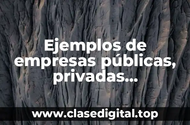 Ejemplos de empresas públicas, privadas, transnacionales o extranjeras y mixtas y Significado