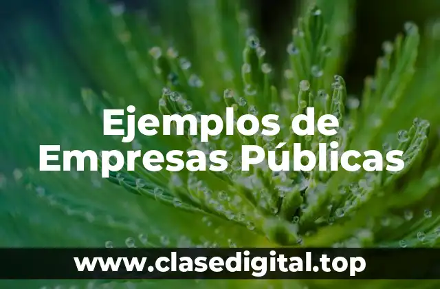 Ejemplos de Empresas Públicas