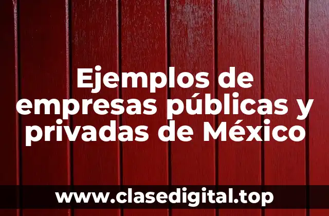 Ejemplos de empresas públicas y privadas de México