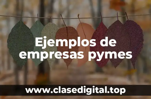 Ejemplos de empresas pymes