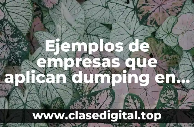 Ejemplos de empresas que aplican dumping en Estados Unidos
