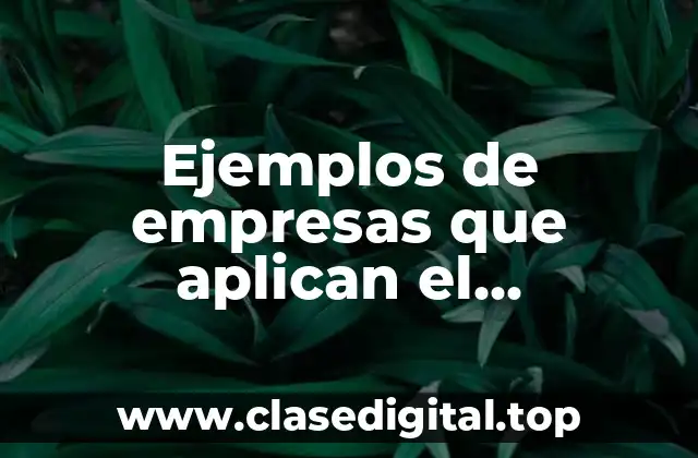 Ejemplos de empresas que aplican el empowerment