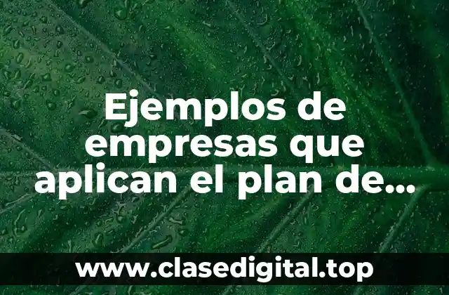 Ejemplos de empresas que aplican el plan de publicidad