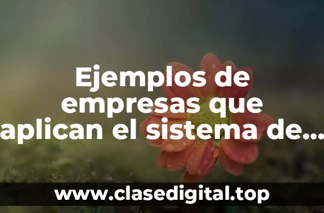 Ejemplos de empresas que aplican el sistema de colas