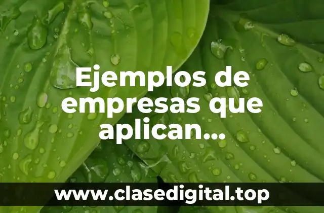 Ejemplos de empresas que aplican herramientas de calidad