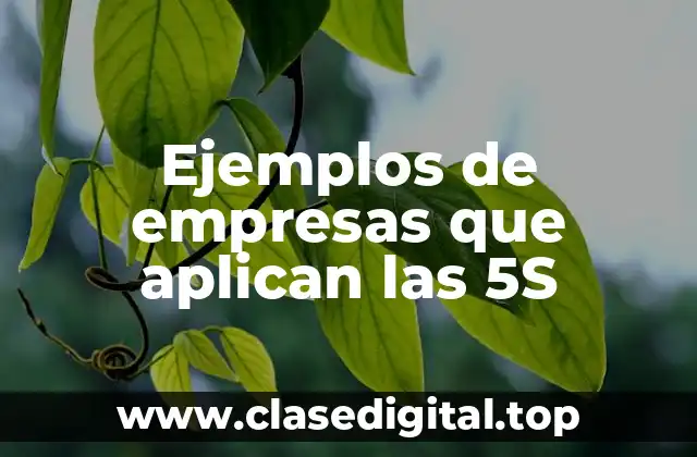 Ejemplos de empresas que aplican las 5S