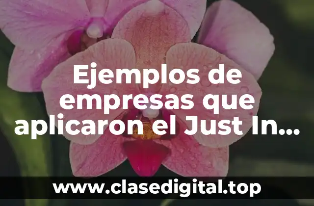 Ejemplos de empresas que aplicaron el Just In Time y Significado