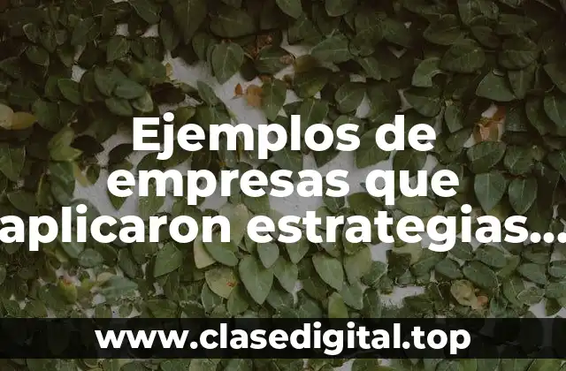 Ejemplos de empresas que aplicaron estrategias de integración y Significado