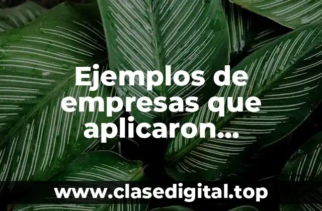Ejemplos de empresas que aplicaron transformación digital