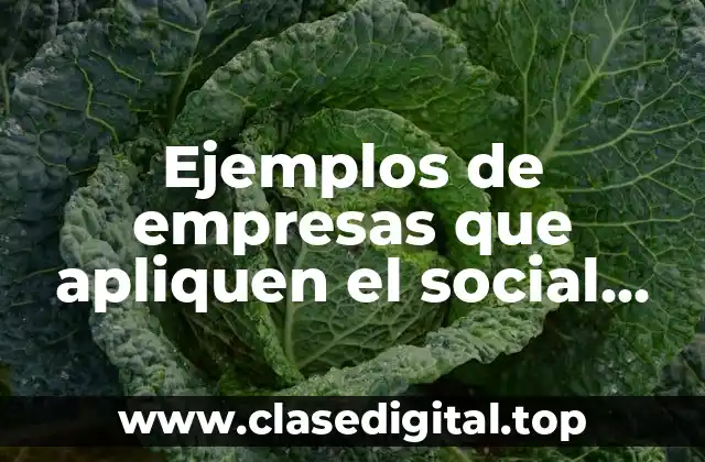 Ejemplos de empresas que apliquen el social commerce en México y Significado