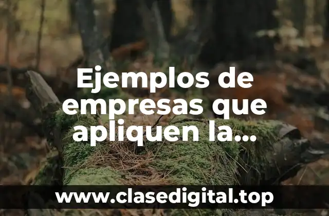 Ejemplos de empresas que apliquen la responsabilidad social