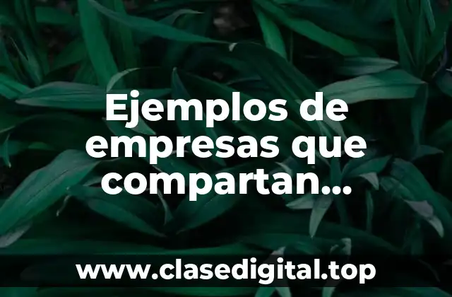 Ejemplos de empresas que compartan empresarios de gobierno y público y Significado