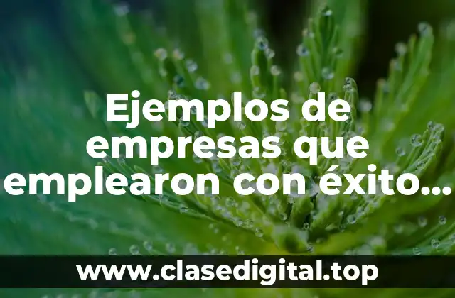 Ejemplos de empresas que emplearon con éxito sus operaciones