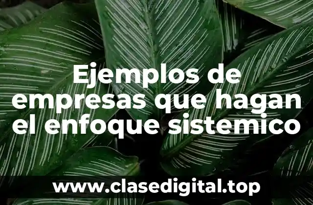 Ejemplos de empresas que hagan el enfoque sistemico