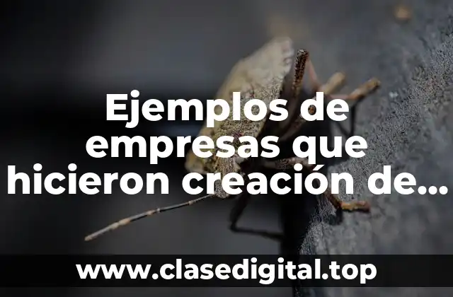 Ejemplos de empresas que hicieron creación de valor