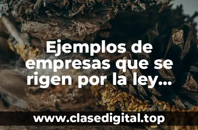 Ejemplos de empresas que se rigen por la ley mercantil