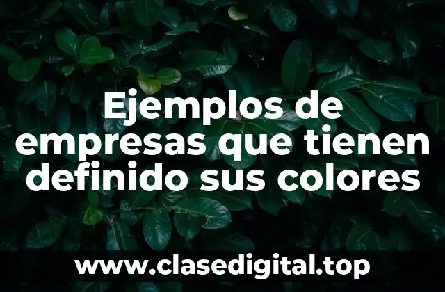 Ejemplos de empresas que tienen definido sus colores