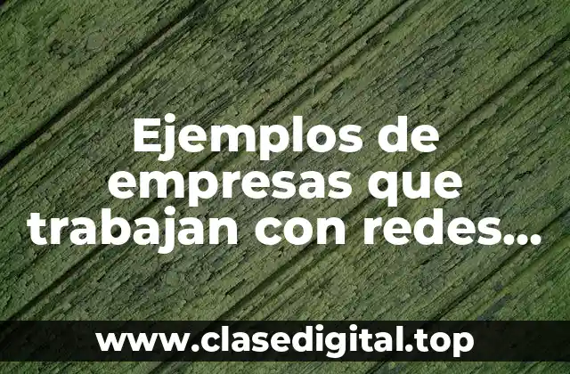 Ejemplos de empresas que trabajan con redes keiretsu