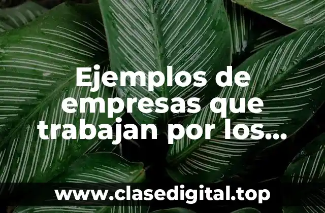 Ejemplos de empresas que trabajan por objetivos sostenibles