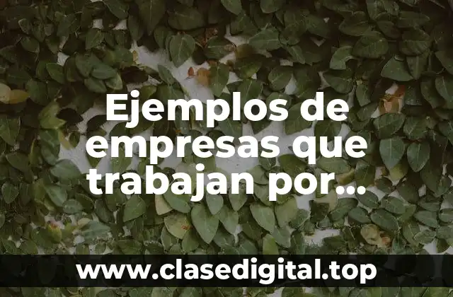 Ejemplos de empresas que trabajan por producción continua