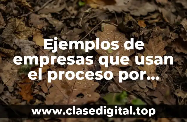 Ejemplos de empresas que usan el proceso por proyecto
