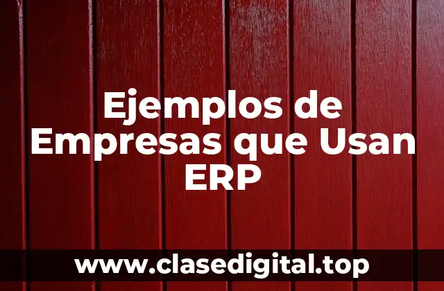 Ejemplos de Empresas que Usan ERP