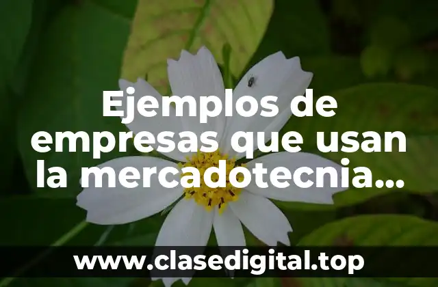 Ejemplos de empresas que usan la mercadotecnia digital