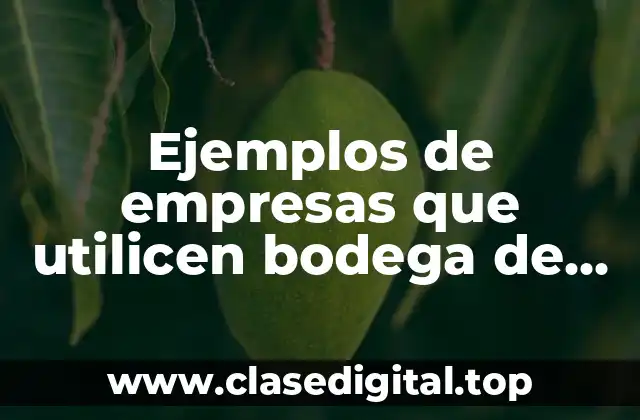 Ejemplos de empresas que utilicen bodega de datos