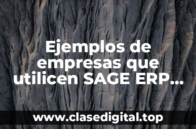 Ejemplos de empresas que utilicen SAGE ERP software Micros