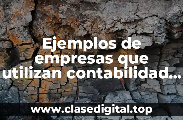 Ejemplos de empresas que utilizan contabilidad de costos