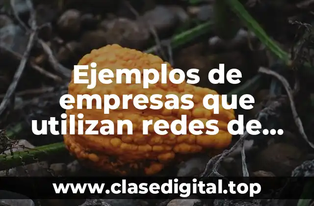 Ejemplos de empresas que utilizan redes de trabajo