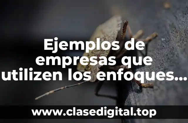 Ejemplos de empresas que utilizen los enfoques de la mercadotecnia