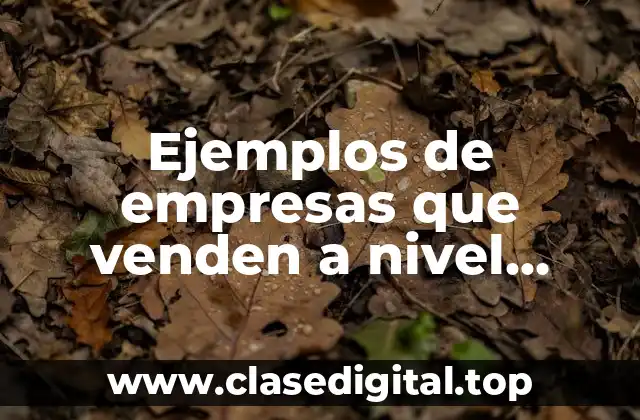 Ejemplos de empresas que venden a nivel nacional