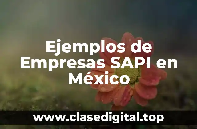 Ejemplos de Empresas SAPI en México