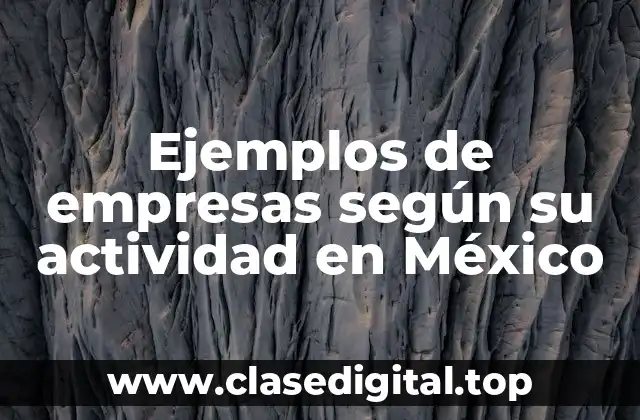 Ejemplos de empresas según su actividad