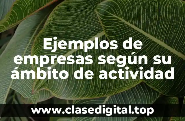 Ejemplos de empresas según su ámbito de actividad