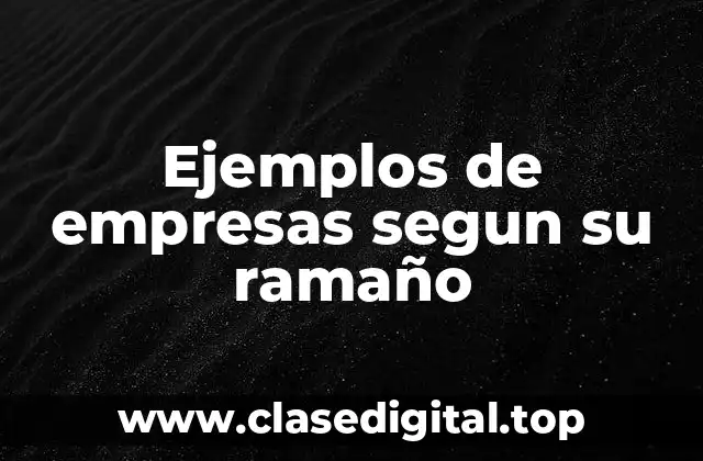 Ejemplos de empresas segun su ramaño