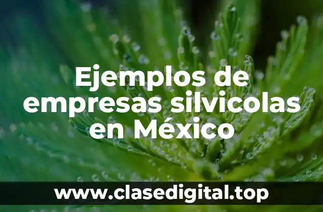 Ejemplos de empresas silvicolas en México