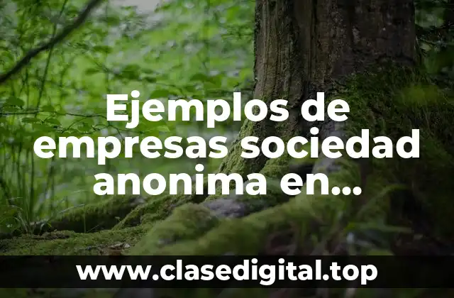 Ejemplos de empresas sociedad anonima en Colombia y Significado