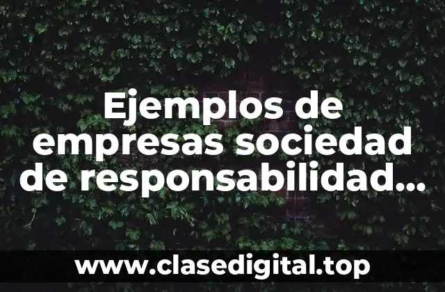 Ejemplos de empresas sociedad de responsabilidad limitada